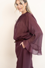 Devotion |  Transparant top Velvet | burgundy | Picture 9