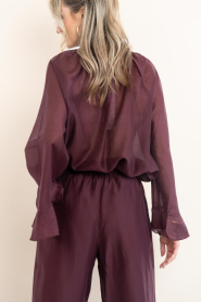 Devotion |  Transparant top Velvet | burgundy | Picture 10