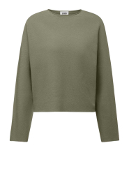 Drykorn |  Fine knitted sweater with flared sleeves Meami | green | Picture 1