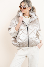 Deblon |  Metallic bodywarmer Stevie | metallic | Picture 2