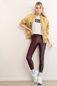 Deblon :  Cropped top with logo Jones | grey - img4