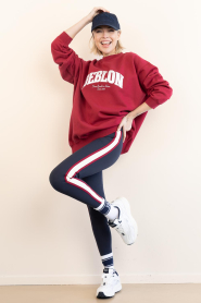 Deblon |  Long sweater with logo Phoebe | red | Picture 3