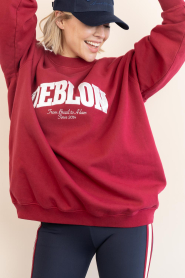 Deblon |  Long sweater with logo Phoebe | red | Picture 5