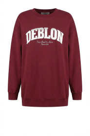 Deblon |  Long sweater with logo Phoebe | red | Picture 1