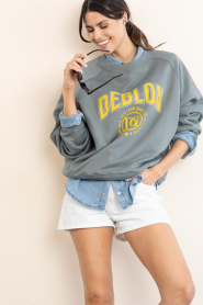 Deblon |  Sweater with logo Vive | green | Picture 4