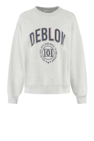 Deblon |  Sweater with logo Vive | grey