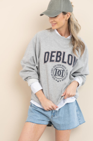 Deblon |  Sweater with logo Vive | grey | Picture 6