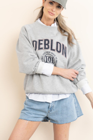 Deblon |  Sweater with logo Vive | grey | Picture 2