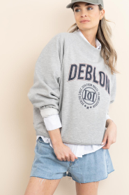 Deblon |  Sweater with logo Vive | grey | Picture 4