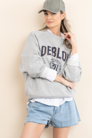 Deblon |  Sweater with logo Vive | grey | Picture 5