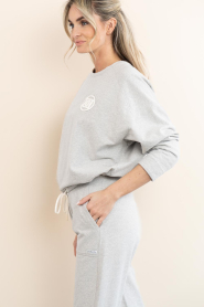 Deblon |  Sweater with logo Celia | grey | Picture 6