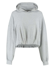 Deblon |  Cropped balloon sweater Bibi | grey | Picture 1