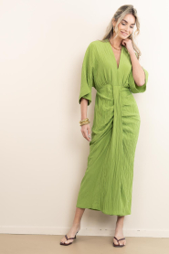 Dante6 |  Viscose dress Bradshaw | green | Picture 3