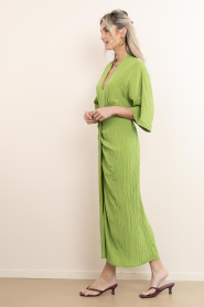 Dante6 |  Viscose dress Bradshaw | green | Picture 6