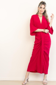 Dante6 :  Viscose dress Bradshaw | pink - img4