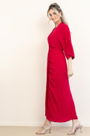 Dante6 :  Viscose dress Bradshaw | pink - img8