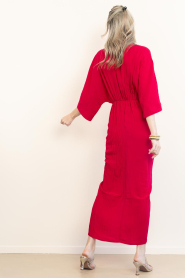 Dante6 :  Viscose dress Bradshaw | pink - img9