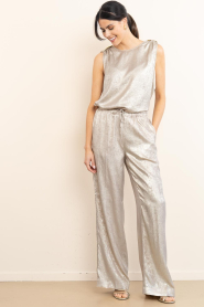 Dante6 :  Metallic top Aurora | beige - img3