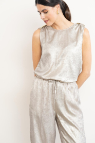 Dante6 :  Metallic top Aurora | beige - img5