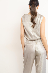 Dante6 :  Metallic top Aurora | beige - img7