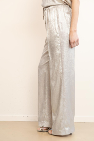 Dante6 |  Metallic trousers Ido | metallic | Picture 5