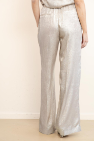 Dante6 |  Metallic trousers Ido | metallic | Picture 6