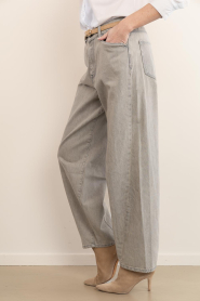 Dante6 |  Barrel jeans Brave | beige | Picture 5