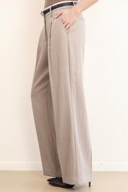 Dante6 |  Viscose trousers Kenila | beige | Picture 5
