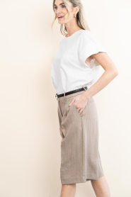 Dante6 |  Bermuda shorts Emra | beige | Picture 9