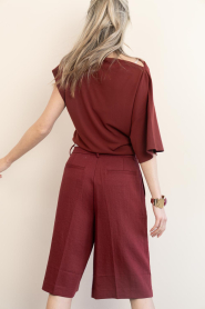 Dante6 |  Bermuda short Emra | burgundy  | Picture 6