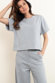 Club L'avenir |  Cropped T-shirt Mary | grey | Picture 5