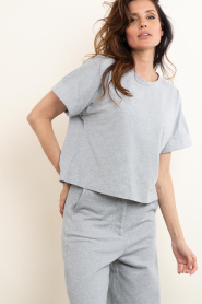 Club L'avenir |  Cropped T-shirt Mary | grey | Picture 7