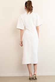 Second Female :  Stretch dress with smocked detail Liana | natural - img9