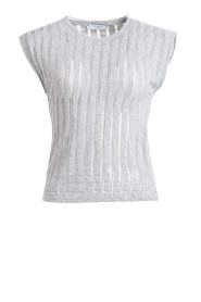 IRO |  Sleevless with mesh lines top Uzelie | grey | Picture 1