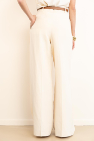 IRO |  Wide leg trousers Hayda | beige | Picture 7
