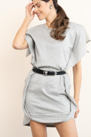 IRO |  Mini dress Aslan | grey | Picture 6