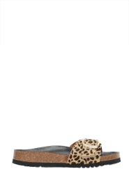 Scholl |  Sandals with buckle Kathleen | animal print | Picture 1