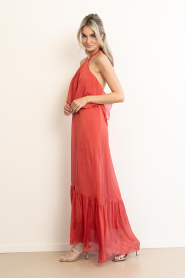 Aaiko |  Maxi dress Albina | red | Picture 8