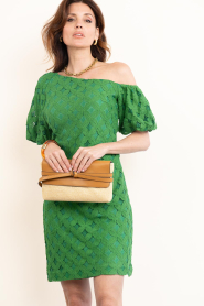 Aaiko |  Jacquard mini dress Doutzen | green | Picture 4
