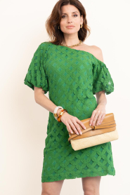 Aaiko |  Jacquard mini dress Doutzen | green | Picture 6