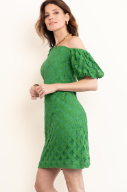 Aaiko |  Jacquard mini dress Doutzen | green | Picture 7