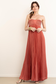 ba&sh |  Strapless maxi dress Willow | pink | Picture 2