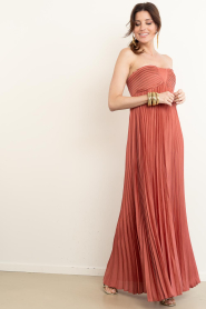 ba&sh |  Strapless maxi dress Willow | pink | Picture 5