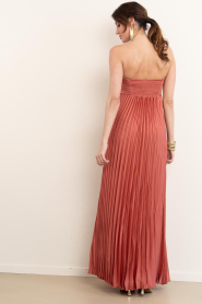 ba&sh |  Strapless maxi dress Willow | pink | Picture 8