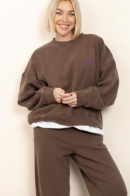 American Vintage |  Soft sweater Plizzy | brown | Picture 5