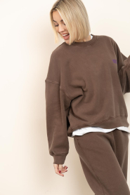 American Vintage |  Soft sweater Plizzy | brown | Picture 4