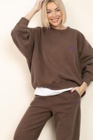 American Vintage |  Soft sweater Plizzy | brown | Picture 2