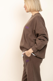 American Vintage |  Soft sweater Plizzy | brown | Picture 7