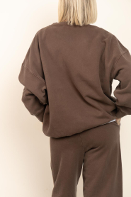 American Vintage |  Soft sweater Plizzy | brown | Picture 8