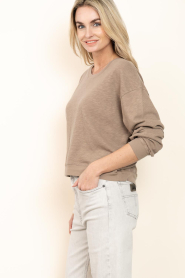 American Vintage |  Top with long sleeves Sonoma | brown | Picture 6